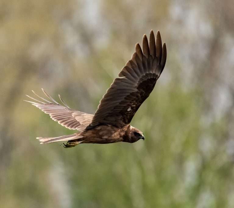 Ingezoomd en bewerkt.