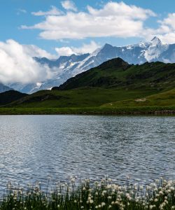 Bachalpsee Grindelwald Zwitserland